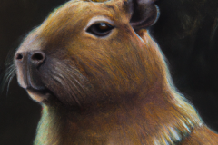DALL·E-2023-03-27-07.30.28-an-oil-painting-portrait-of-a-capybara-wearing-medieval-royal-robes-and-an-ornate-crown-on-a-dark-background